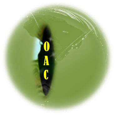 Logo del observatorio